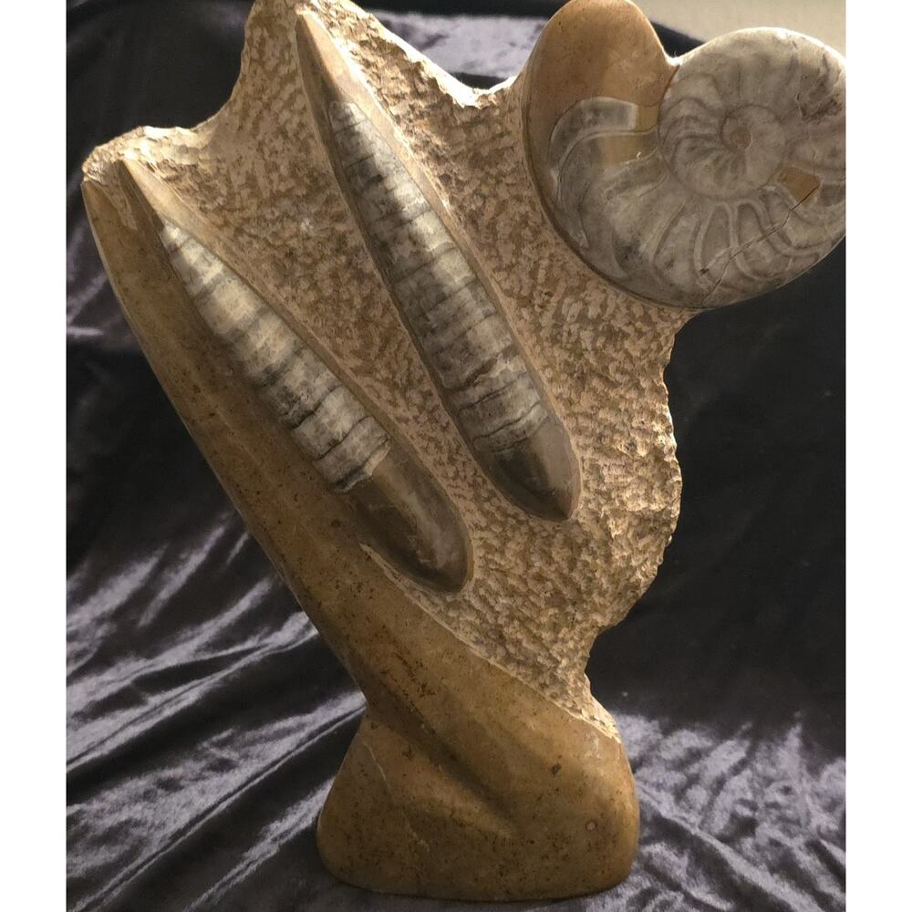 Orthoceras Fossil Specimen In Matrix Ammonite Plaque Fossil Squid Art